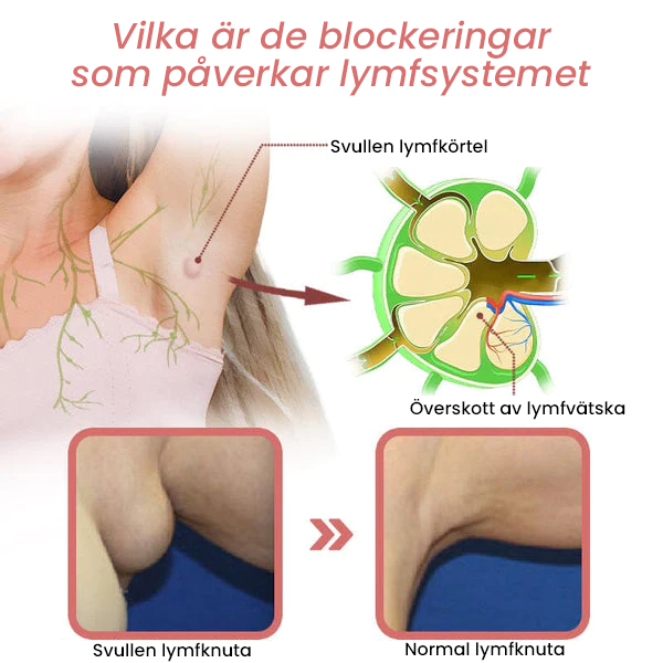 Lymfflöde Magnetogen Örhängen