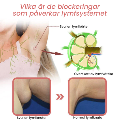 Lymfflöde Magnetogen Örhängen