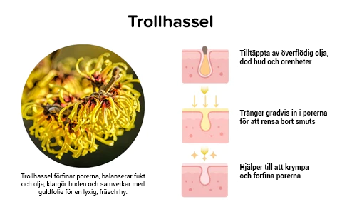 Guldfolie Skala av Mask