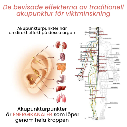 Lymfflöde Magnetogen Örhängen