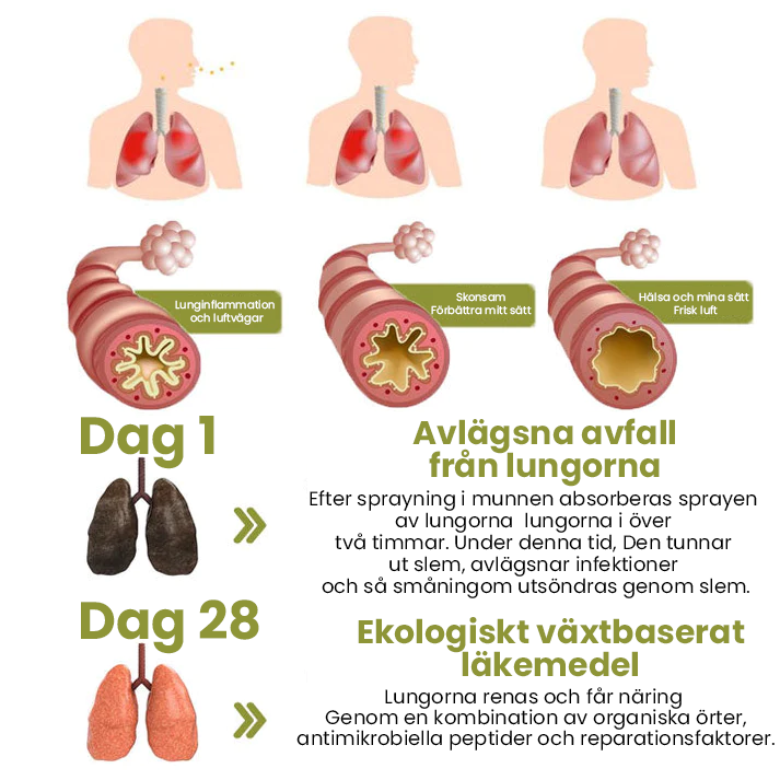 BreatheWell Naturlig örtspray för stöd av lungor och andningsväga