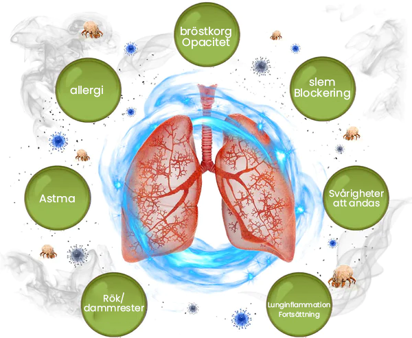 BreatheWell Naturlig örtspray för stöd av lungor och andningsväga